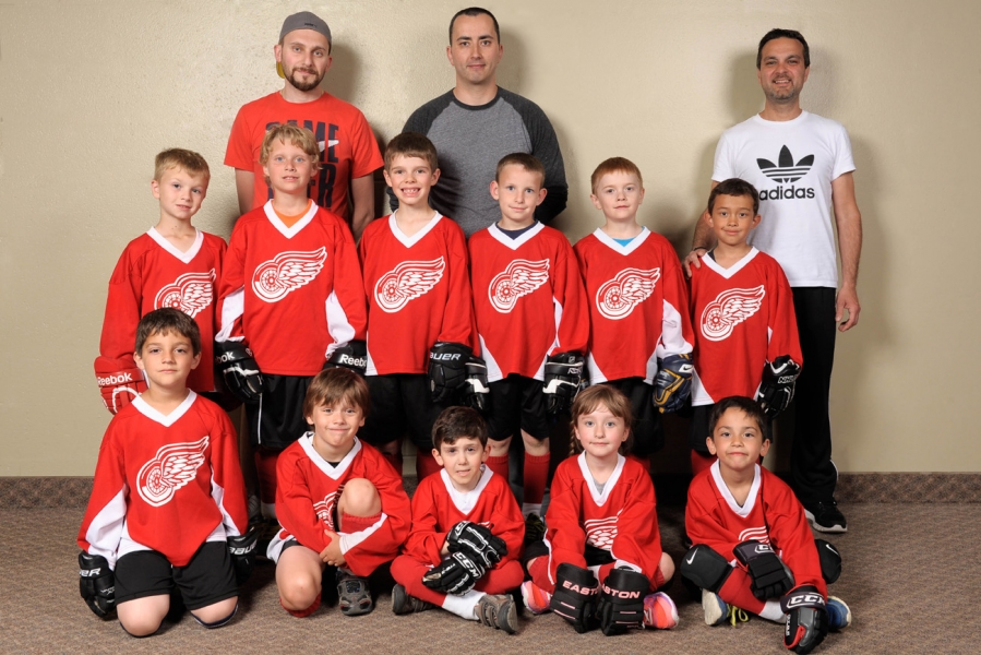 Tyke-Novice - Red Wings