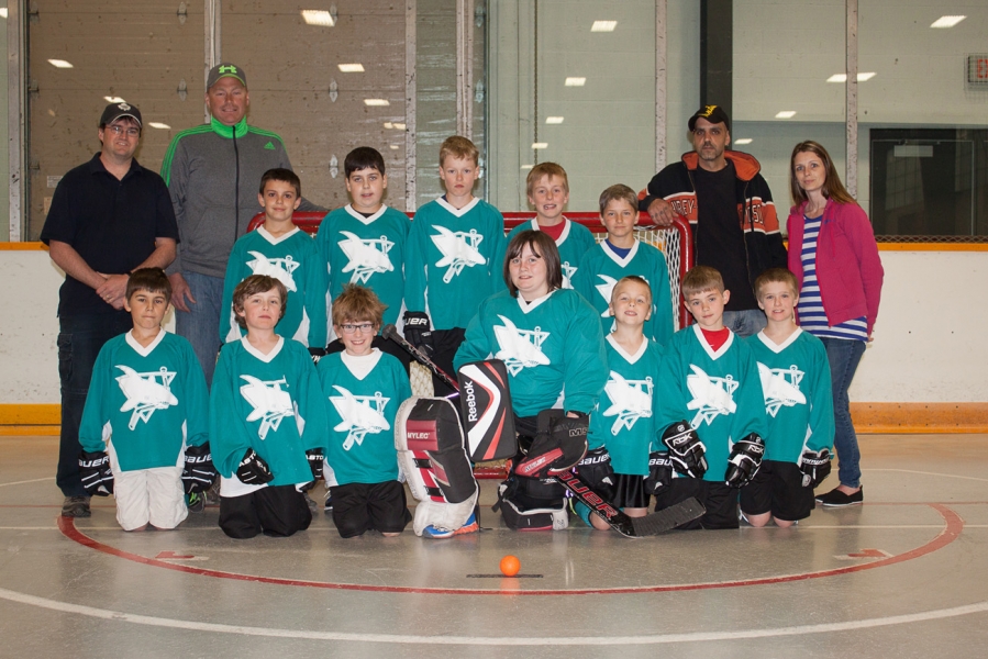 Novice - Sharks