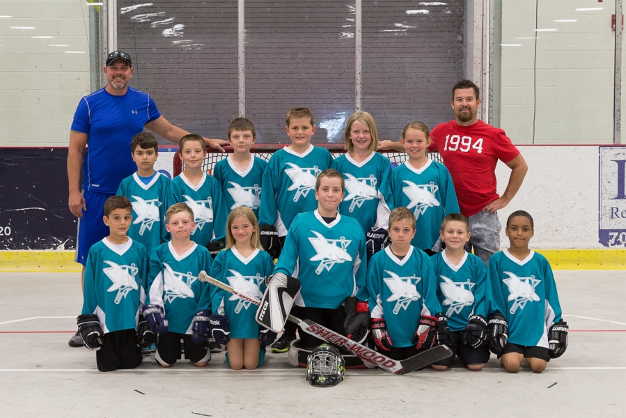 Novice - Sharks