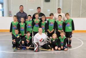 Novice - Innisfil Stars