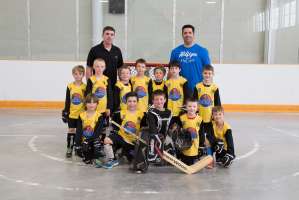 Tyke - Barrie Bruins