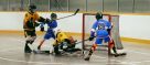 2023 Summer Ball Hockey Registration